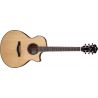 Comprar Ibanez AE410-LGS Natural Low Gloss al mejor precio
