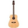 Comprar Ashton D20/12EQ NTM de 12 Cuerdas al mejor precio