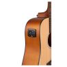 Comprar Ashton D20/12EQ NTM de 12 Cuerdas al mejor precio