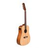Comprar Ashton D20/12EQ NTM de 12 Cuerdas al mejor precio