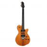 Comprar Godin Xtsa Koa Extreme Hg With Bag al mejor precio