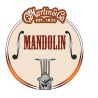 Comprar Martin Guitars M-400 Mandolina Bronze 80/20 LIGHT 10-34