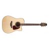 Compra takamine p5dc al mejor precio