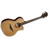 Compra Lag T118-ACE Auditorium Cutaway al mejor precio