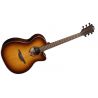 Compra Lag T118-ACE-BRS Auditorium Cutaway Brown Shadow al mejor precio