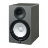 Comprar Yamaha HS8 SG Silver Grey Limited al mejor precio