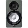 Comprar Yamaha HS5 SG Silver Grey Limited al mejor precio