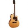 Comprar Cort Gold-A6 Nat al mejor precio