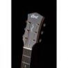 Comprar Cort Gold Edge Nat C/Estuche al mejor precio