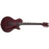 Comprar Schecter Solo-Ii Apocalypse Rr al mejor precio