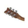 Comprar Schecter Solo-Ii Cust Tbb/Nat al mejor precio