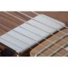 Comprar Schecter Pt Van Nuys G.Nat Ash Gna al mejor precio