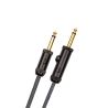Daddario PW-AG-10 cable para guitarra