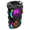 Comprar Fenton Live280 Conjunto Karaoke 2X 8" al mejor precio