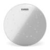 Comprar Evans 22" Hydraulic Glass BD22HG al mejor precio
