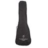 Comprar Admira Flamenkele Pack al mejor precio