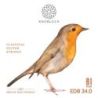 Comprar Knobloch Erithacus Ds Bi Medium-High 34.0 Edb34,0 al