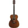 Comprar Ibanez AC340L-OPN Open Pore Natural al mejor precio