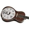 Comprar Ortega RRG30e-WB Whiskey Burst al mejor precio