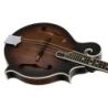 Comprar Ortega RMF30-WB F-Style Whiskey Burst al mejor precio