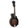 Comprar Ortega RMFE30-WB F-Style Electrificada Whiskey Burst al