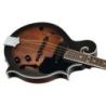 Comprar Ortega RMFE30-WB F-Style Electrificada Whiskey Burst al