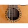 Comprar Guitarra Admira Crossover Con Fishman Presys Blend al