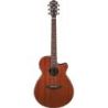 Comprar Ibanez AEG220-LGS Natural Low Gloss al mejor precio