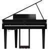 Roland GP-6 PE