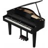 Roland GP-6 PE