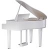 Roland GP-6 PW