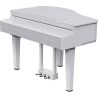 Roland GP-6 PW
