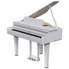 Roland GP-6 PW