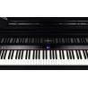 Roland GP-9 PE