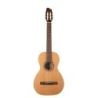 Comprar Godin Motif Clasica Ii al mejor precio