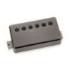 Comprar Seymour Duncan Slash 2.0 Neck Humbucker Black Nickel al