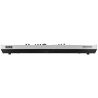 Korg WAVESTATE SE Platinum