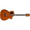 Comprar Michael Kelly MK10XKGSFX Forte Port Exotic Koa 10 str