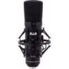 Comprar Cad Audio Gxl2200 Micrófono Condensador Diafragma al