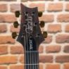 Comprar PRS Special 22 Semihollow 10 CC Eriza Verde Smokeburst