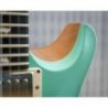 Comprar PRS CE24 Satin Ltd Seafoam Green al mejor precio