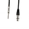 Comprar Armour CJP10 cable XLR Hembra a Jack 6,3 Macho estereo