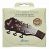 Ibanez IACSP61C Phosphor Bronze 010-047