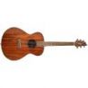 Comprar Breedlove Discovery S Concert African Mahogany Guitarra