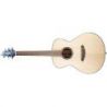 Breedlove Discovery S Concert Zurdos Guitarra Acústica