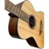 Comprar Breedlove Discovery S Concert Sitka-African Mahogany