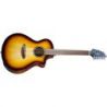 Breedlove Discovery S Concert 12 Cuerdas Guitarra Acústica
