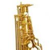 Bressant As201 Saxofón Alto Lacado En Fa