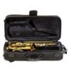 Bressant As201 Saxofón Alto Lacado En Fa