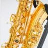 Bressant As820 Saxofón Alto Lacado Oro